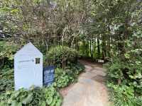 🌺 A Scenic Hideaway: Camellia Hill, Jeju