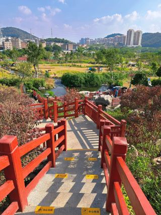 Caught up in sprinting towards goals and advancing tasks, we focus on chasing results and run forward, but often overlook the accommodating and mu...