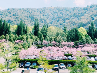 #worthitornot  

準備好享受湖畔氛圍與山景了嗎？