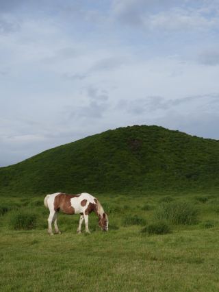 𓂃𓈒𓏸 Aso之旅🌿⛰️