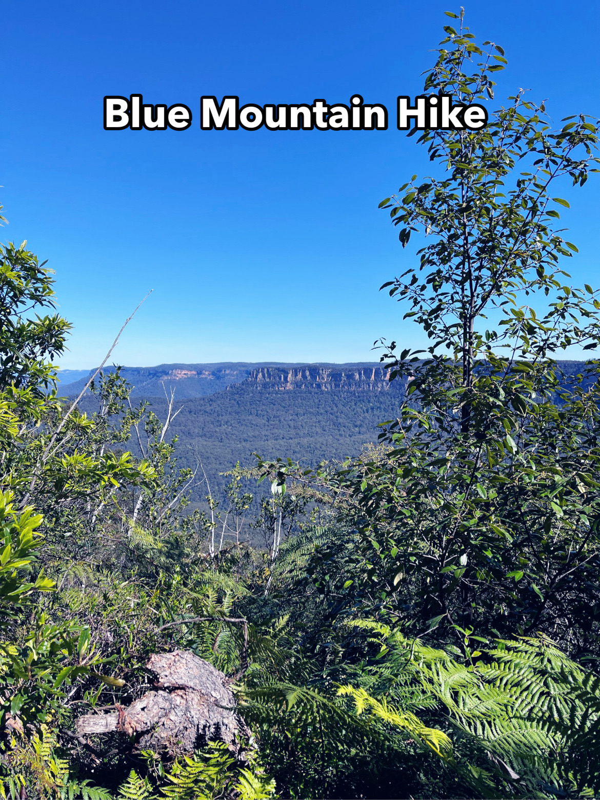 8 HOURS, ENDLESS STAIRS & ONE EPIC BLUE MOUNTAINS ADVENTURE!