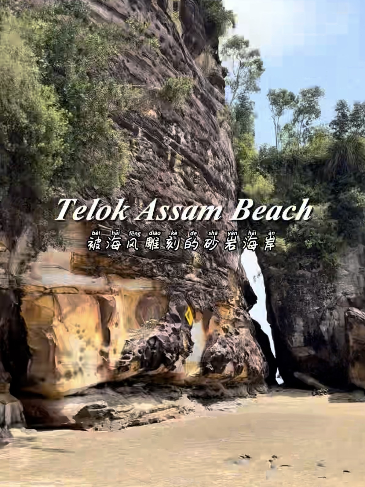 🌊 Telok Assam Beach — A Hidden Gem in Bako National Park

If you’re visiting Bako National Park, don’t rush to leave after exploring the jungle trails. Take some time to walk along Telok Assam Beach and enjoy the beautiful coastline, natural rock formations and peaceful surroundings.

What I loved most was the contrast between the lush rainforest and the open sea — it feels wild, natural and untouched. 🌴🌊

It’s also a great spot to slow down, take photos and simply enjoy the scenery after a hike.

📍 Telok Assam Beach, Bako National Park, Sarawak, Malaysia 🇲🇾

✨ My recommendation: Definitely add this to your Bako National Park itinerary if you love nature, coastal views and scenic photo spots!

#BakoNationalPark #TelokAssamBeach #Sarawak #Kuching #MalaysiaTravel #TravelMalaysia #NatureLovers #HiddenGem