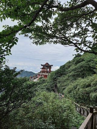 Touched the Sky: Scaling the Sacred Peaks of Fanjingshan ☁️⛰️