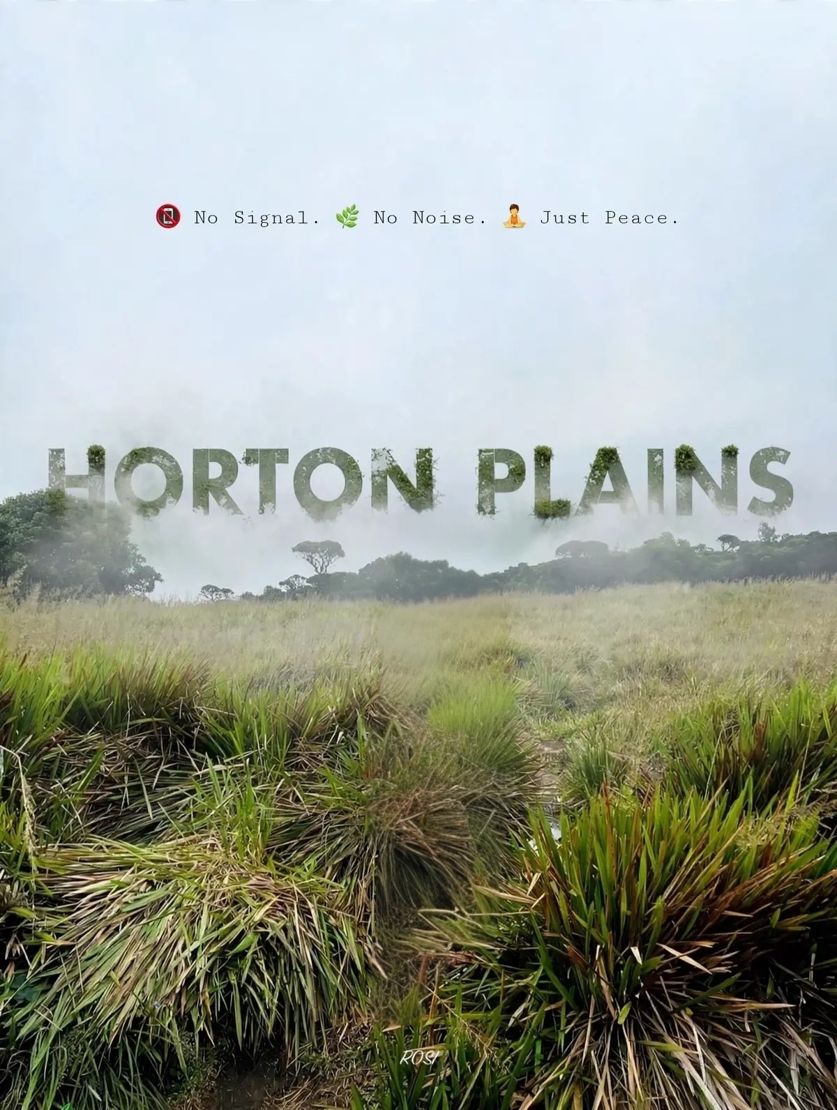 Epic Horton Plains Adventure in Sri Lanka 🌄🇱🇰