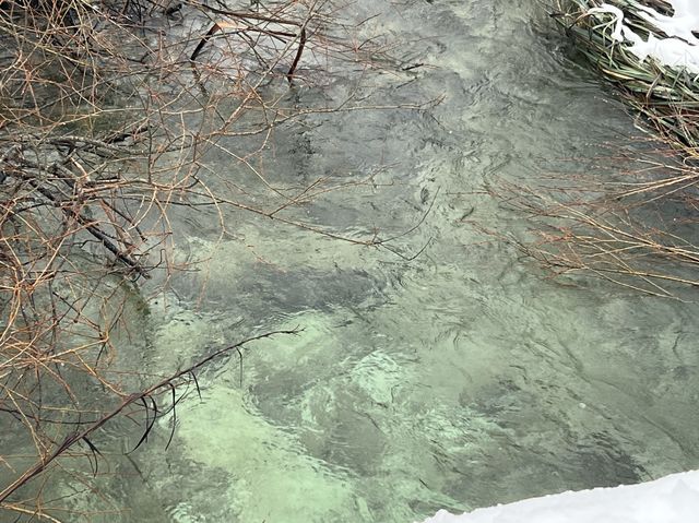 【雪化粧】プリトヴィツェ湖群国立公園