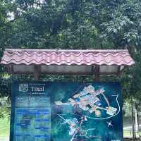 A memorable Mayan civilization and jungle experience at Tikal @ Guatemala 