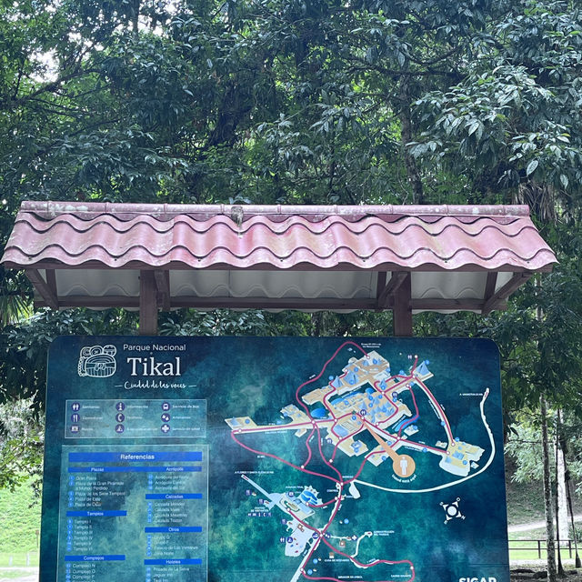A memorable Mayan civilization and jungle experience at Tikal @ Guatemala 