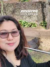 Innisfree Haven: Jeju's Green Retreat