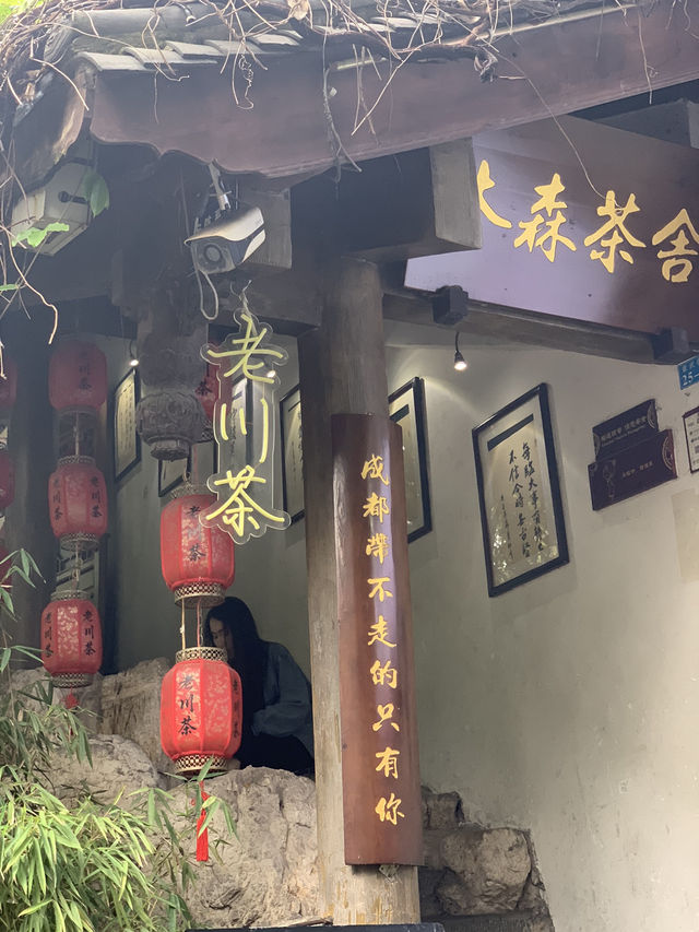 Jinli Ancient Street, Xishu First Street,  Qingming Shanghe Tu in Chengdu