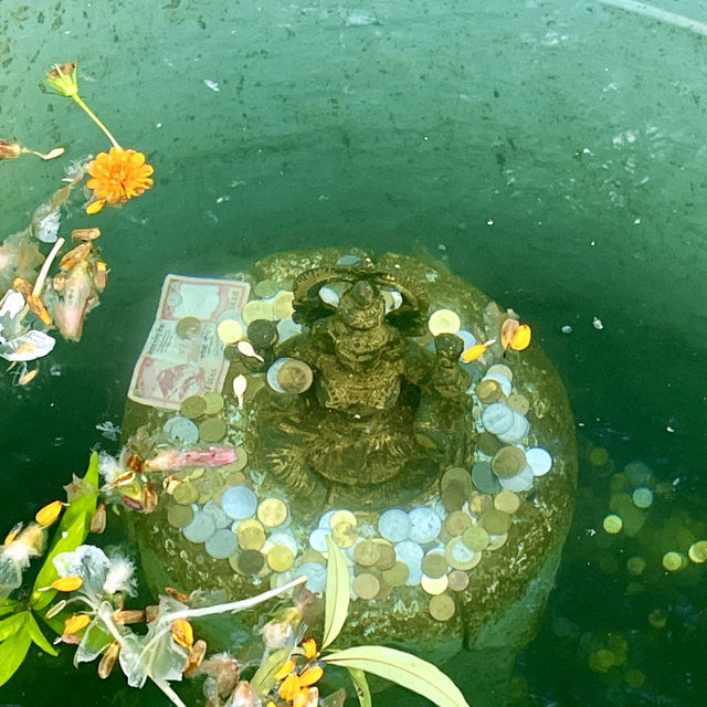 🌊🌟 Discovering the Magic of Devi's Fall! 🌟🌊