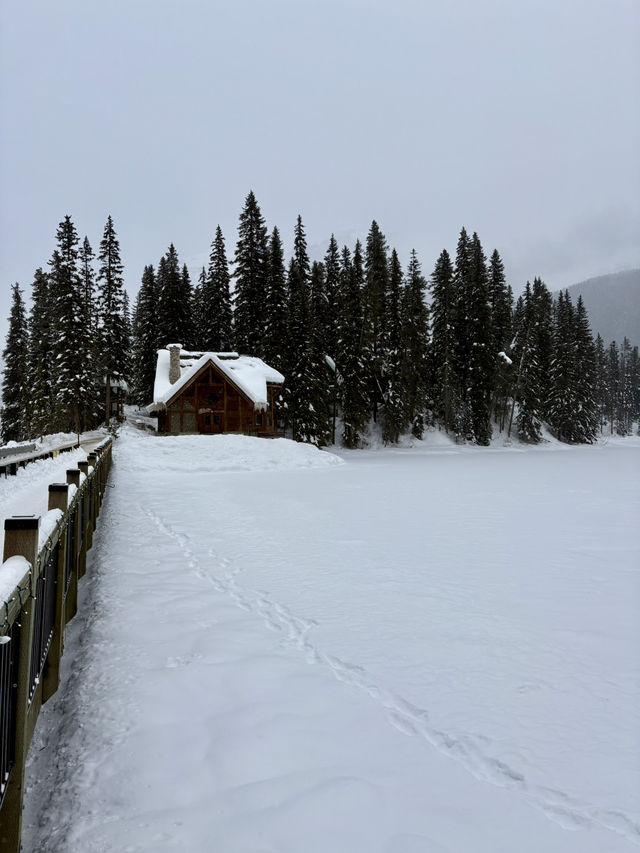 Dining at Emerald Lake Lodge 