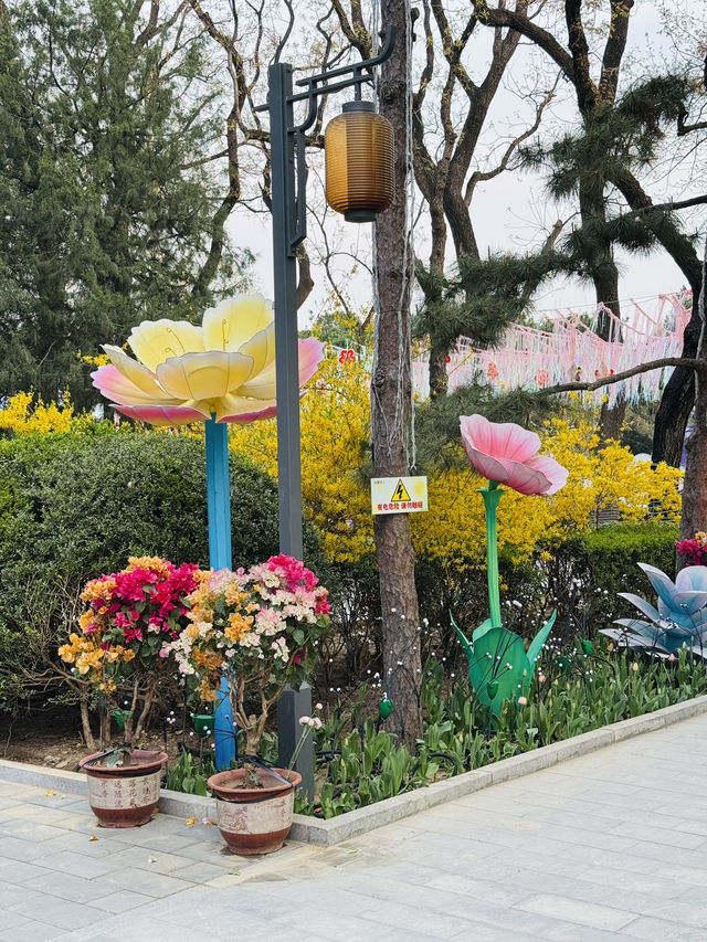 A serene oasis in the heart of Beijing 🌸