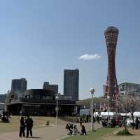 48 Hours in Kansai: Spring Vibes and New Discoveries