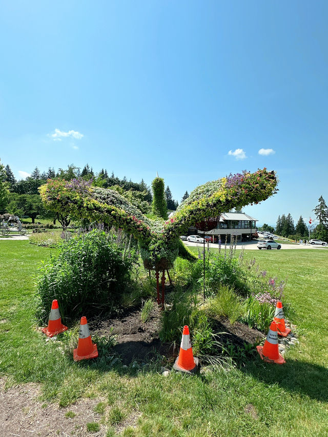 Vancouver한인타운 근처에 한번쯤 꼭 가볼만한 Burnaby Mountain Park👍🏻