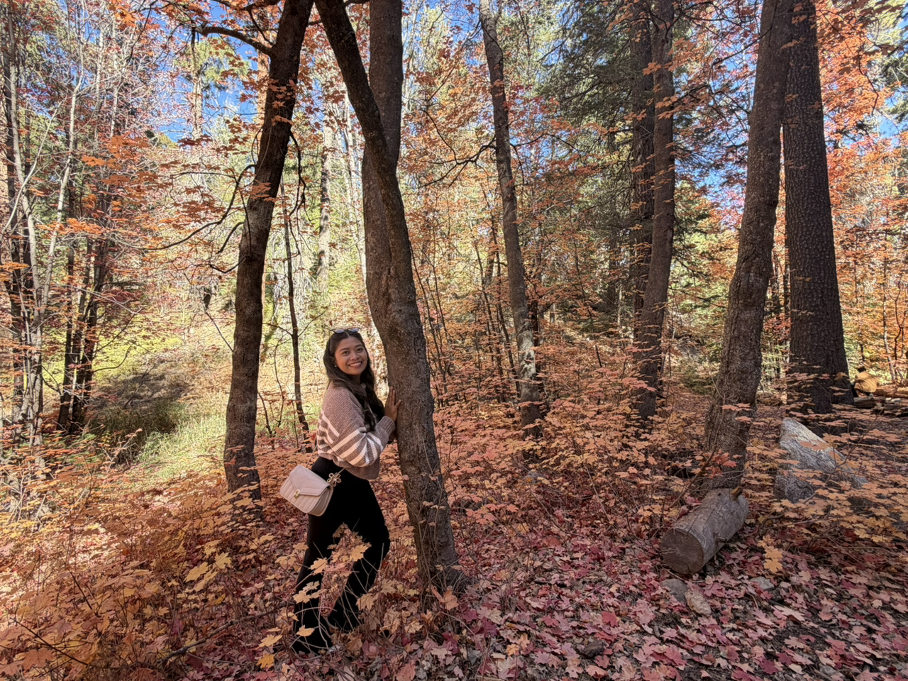 Mt Lemmon Fall Magic🍁