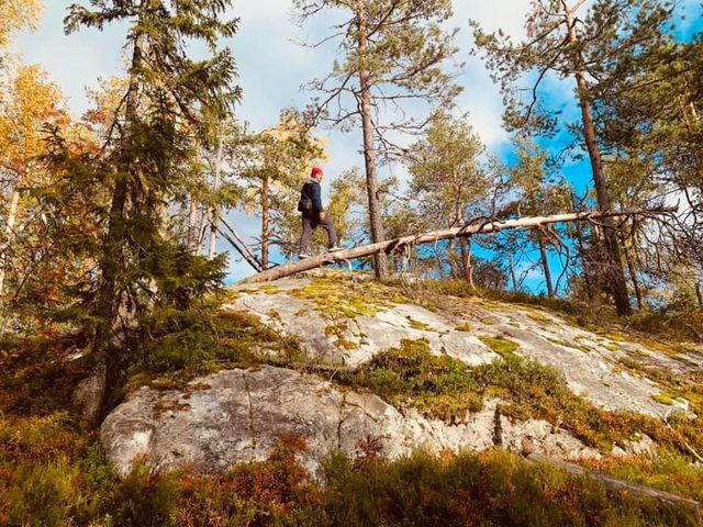 芬蘭🇫🇮景點-Paha-koli