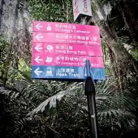 First time in Hong Kong