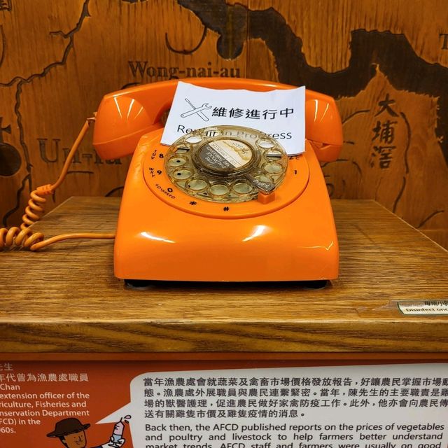 綠匯學院~ 新界首間警署
