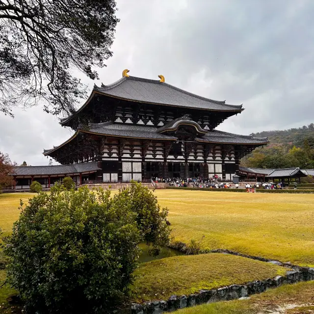 What to See in Nara: Tōdai-ji (東大寺)
