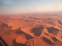 Wild Serenity in Namibia