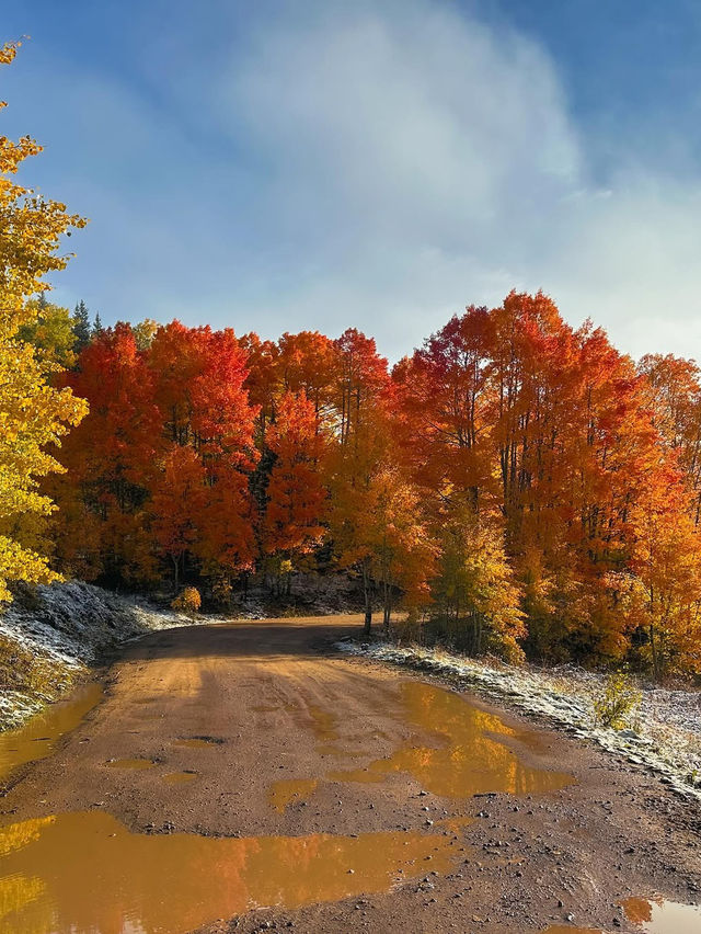 케블러 패스 다채로운 가을 여행 🍁