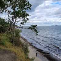 Long coastel forest healthy walks in Warnemuende
