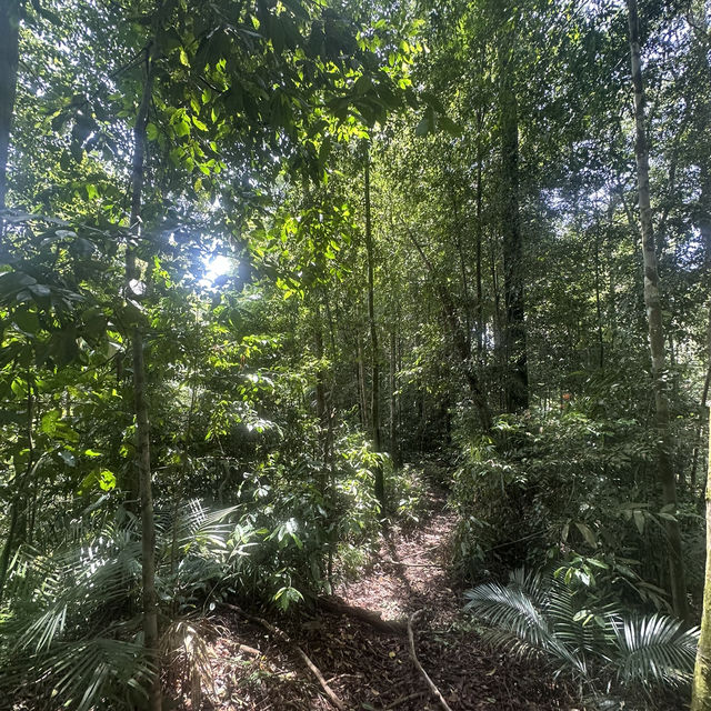 A perfect day in North Sumatra Bukit Lawang Jungle with Orangotans