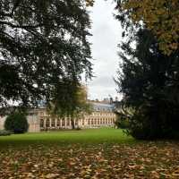 Fontainebleau is a real gem!