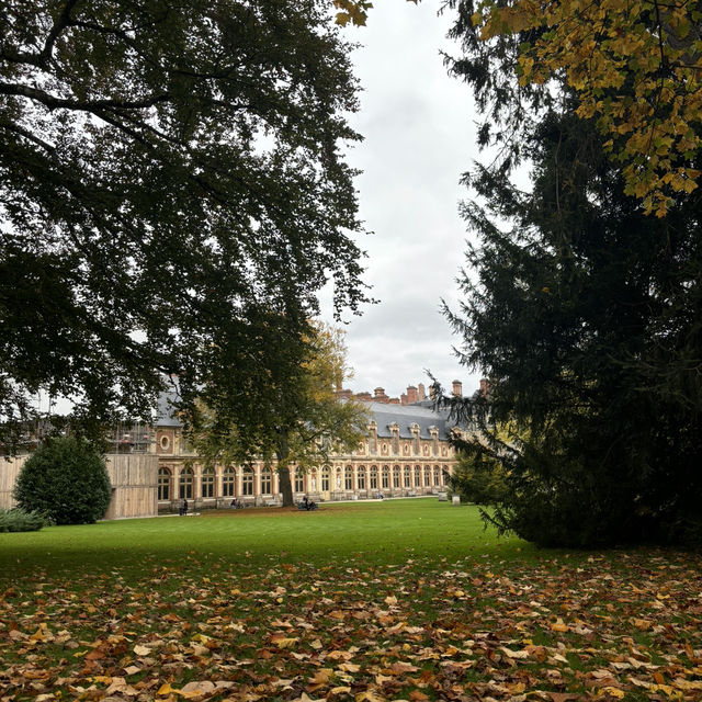 Fontainebleau is a real gem!