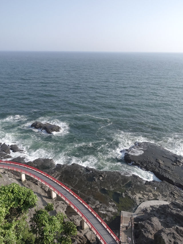 🇯🇵東京近郊江之島 絕美海岸線海鮮午餐