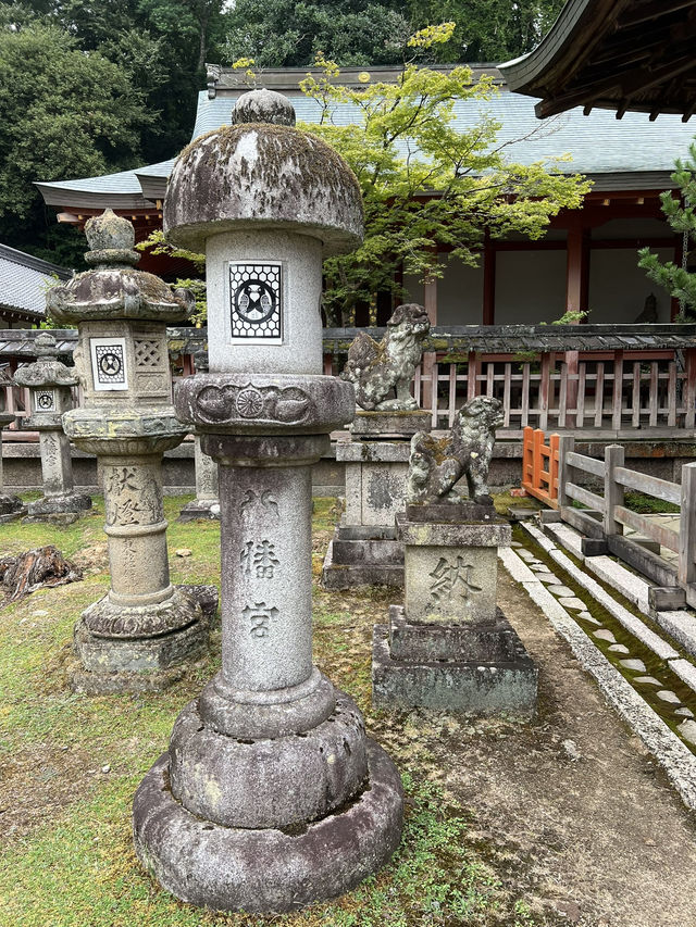 NARA, JAPAN: MY UNFORGETTABLE DAY AMONG DEERS AND TEMPLES 