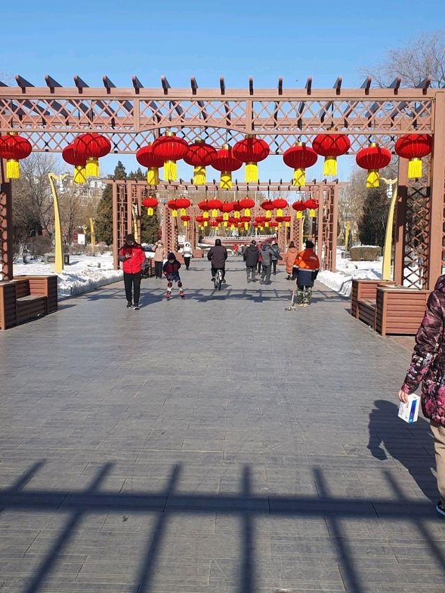 Dragon Boat Festival In Yingkou 