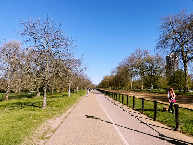 Escape to Royal Green: A Stroll Through Kensington Gardens