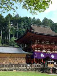 The entire town is the temple precincts