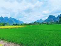 🌿 I Thought I’d Seen Beautiful – Then I Found Yangshuo 🇨🇳