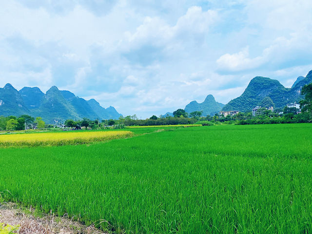 🌿 I Thought I’d Seen Beautiful – Then I Found Yangshuo 🇨🇳