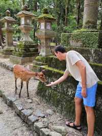 Nara: Where Ancient Japan Walks Beside You