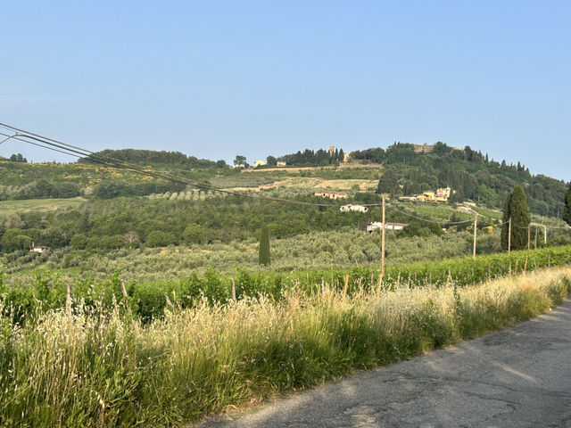 Vineyard visiting in Siena 