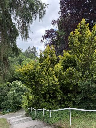 Mariánské Lázně: A Peaceful Escape for the Soul