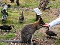 Memorable Sydney CBD outings
