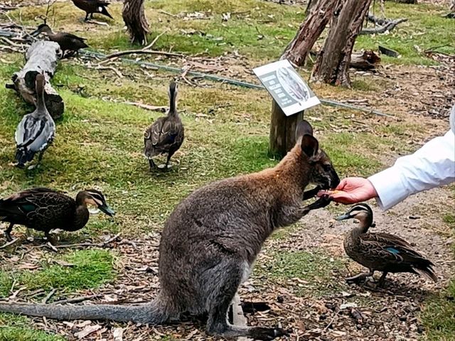Memorable Sydney CBD outings