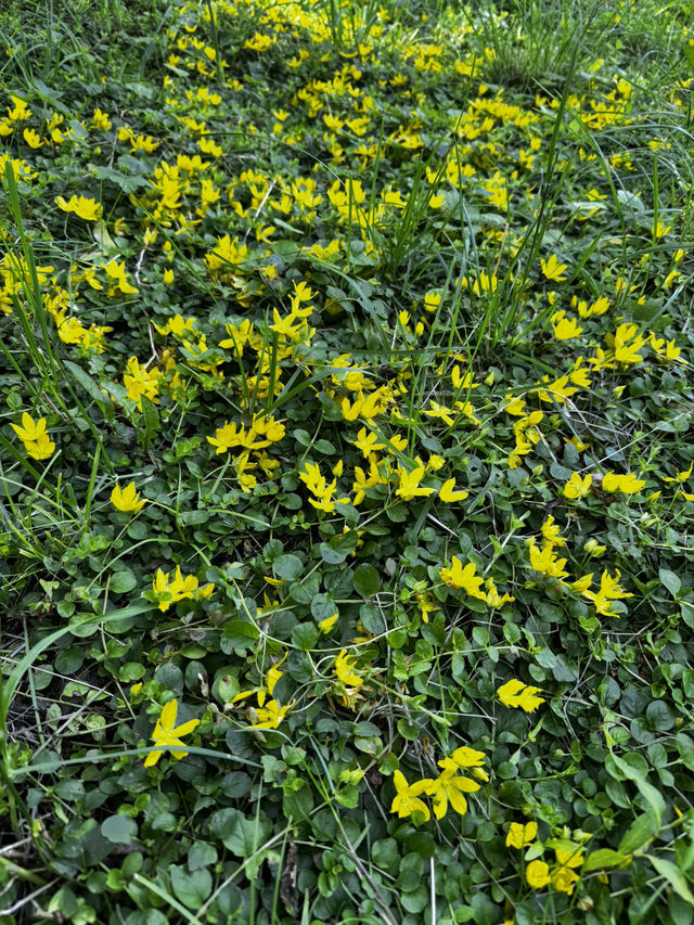 Kolomenskoye: How I Came for a Walk and Left Feeling Magic