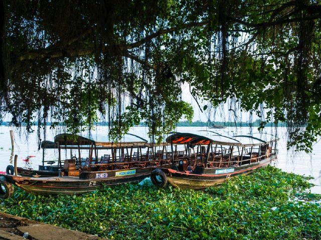 Discovering the Charm of Cai Be Village, Vietnam