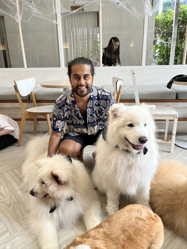 Dog in Town Ari – A Cozy Dog Café in Bangkok  