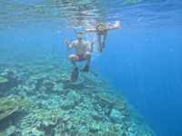 Scuba Diving in the Maldives: Why It’s the Perfect Destination and How to Plan Your Trip