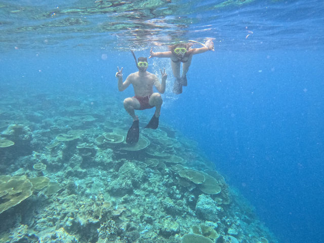 Scuba Diving in the Maldives: Why It’s the Perfect Destination and How to Plan Your Trip