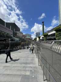My amazing Rotterdam architectural trip!