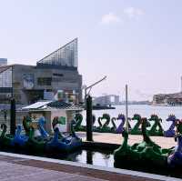 Sailing Through Charm City: Baltimore’s Inner Harbor Cruise Escape