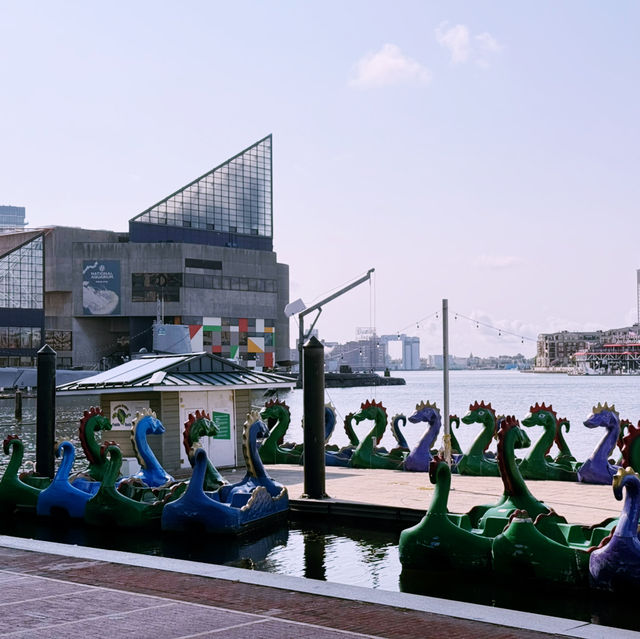 Sailing Through Charm City: Baltimore’s Inner Harbor Cruise Escape