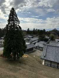 Exploring Nara’s temple circuit is a must for any Japan trip
